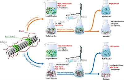 Recent Developments and Applications of Hemicellulose From Wheat Straw: A Review